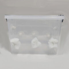 13 lt Monotub 13 lt Monotub 13 lt Monotub