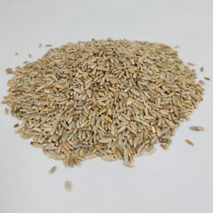 Rye Rye Rye