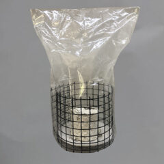 Fruiting bag structure Fruiting Bag & Structure Fruiting Bag & Structure