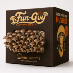 Shiitake Mushroom Grow Kit - Full Kit